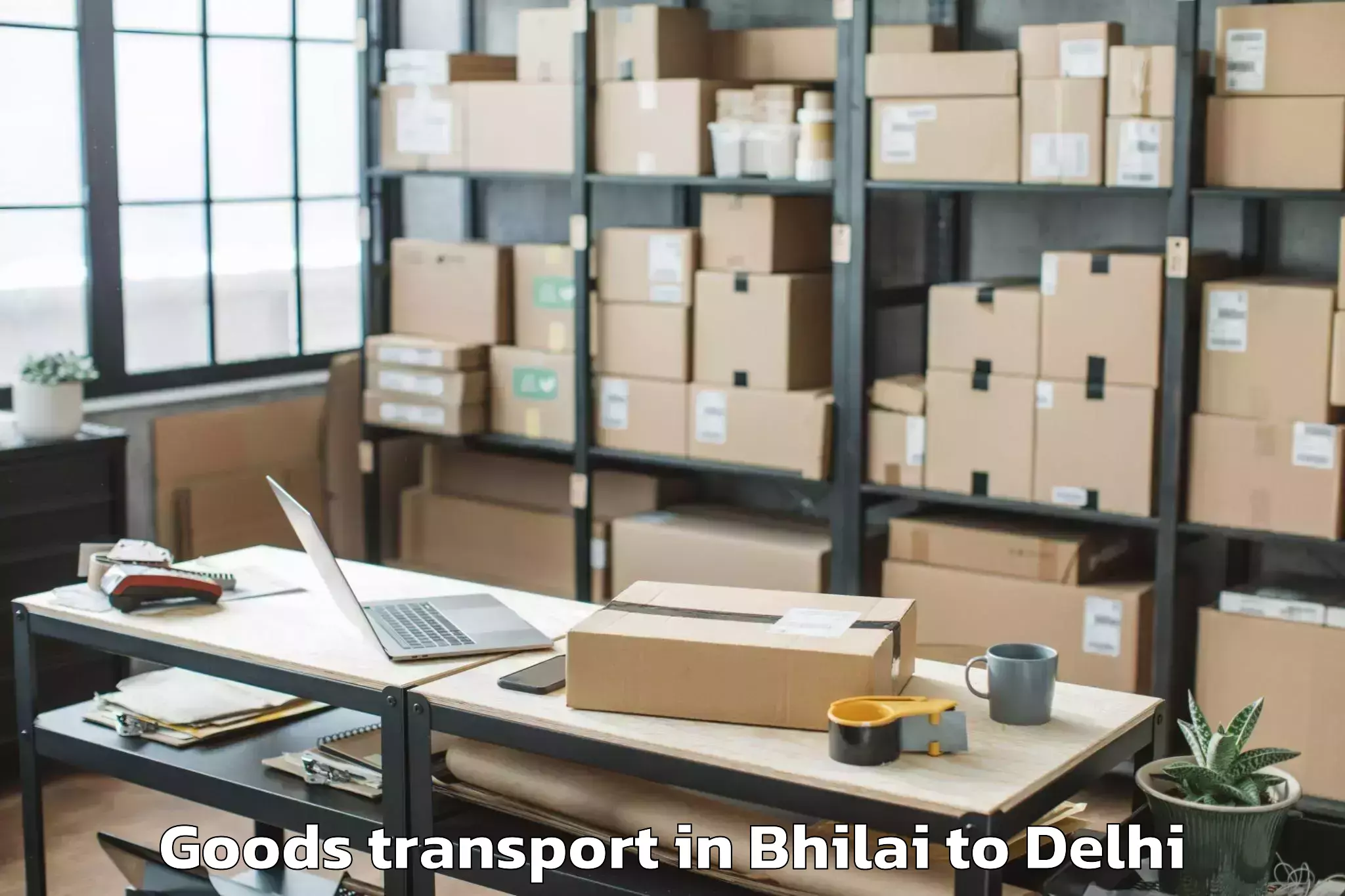 Book Bhilai to Flatted Factory Complex Okhla Goods Transport Online